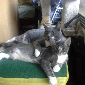 Meet your Posher, Jim